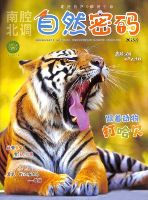 自然密碼