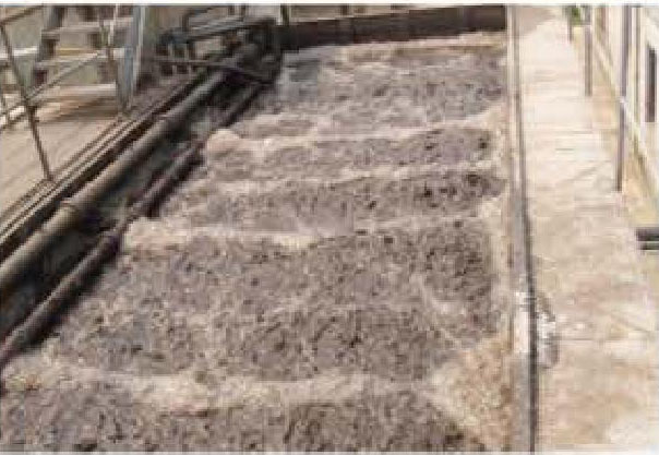 1536905061547859.jpg 8.jpg